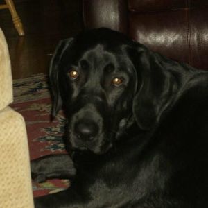 Meet your Posher, Tonya